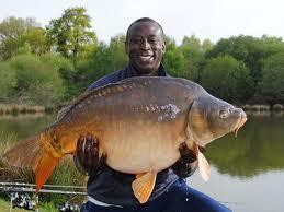 detoate - images-21.jpg